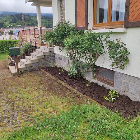 Gite Papillon 6 A14 Personnes - Jacuzzi Gerardmer Exterior photo